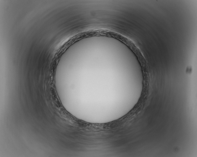 X0000115650871200911101537