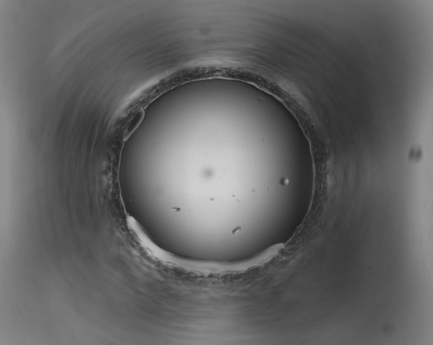 X0000115650872200911101537
