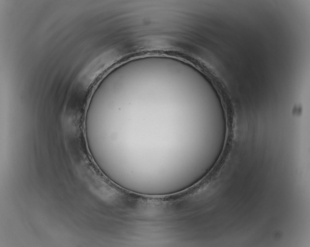X0000115650873200911101537