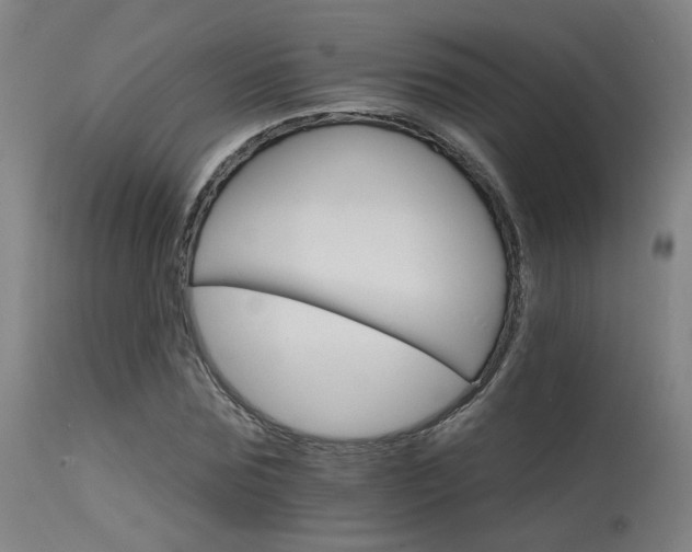 X0000115650875200911101537