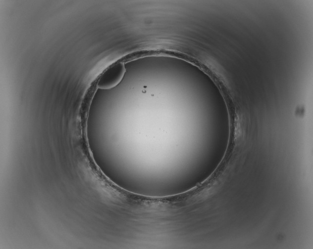 X0000115650876200911101537