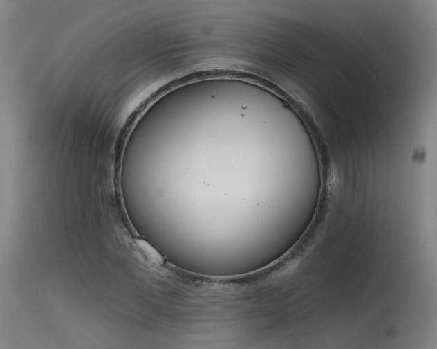 X0000115650877200911101537