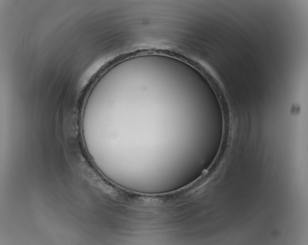 X0000115650878200911101537