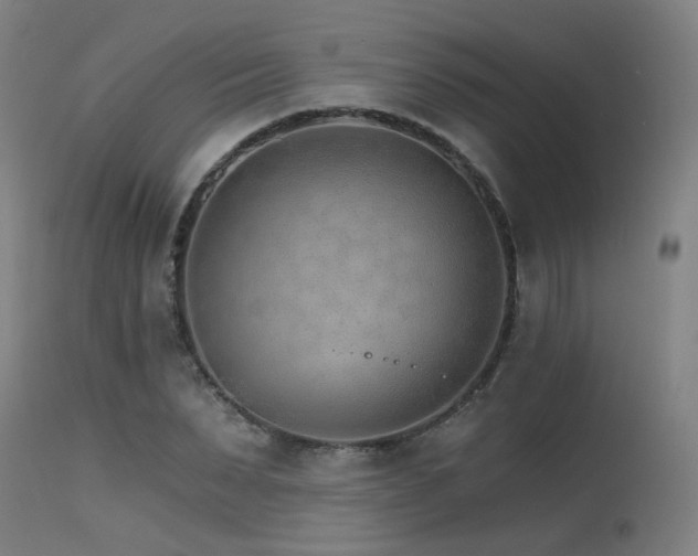 X0000115650879200911101537