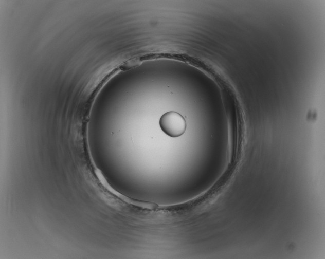 X0000115650881200911101537