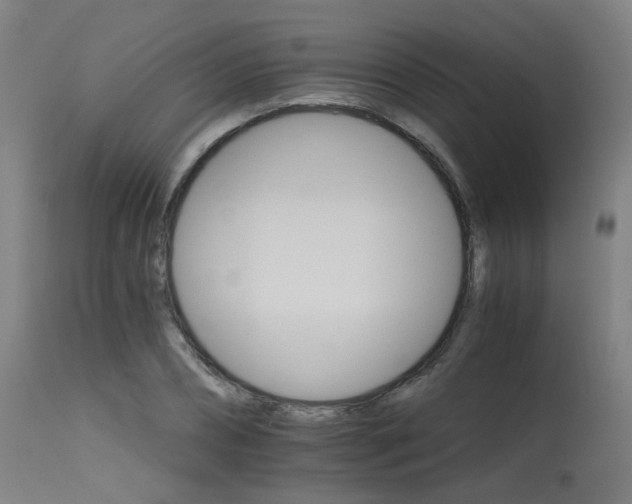 X0000115650882200911101537