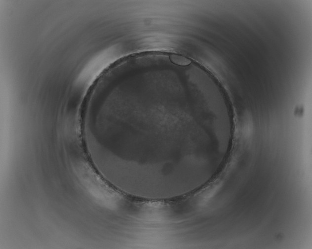 X0000115650883200911101537