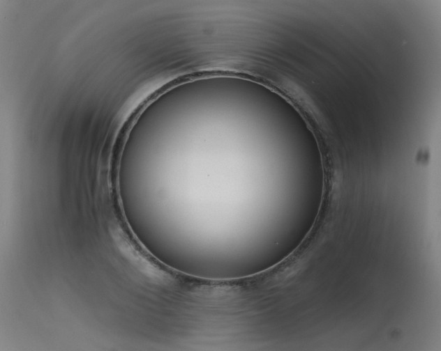X0000115650884200911101537
