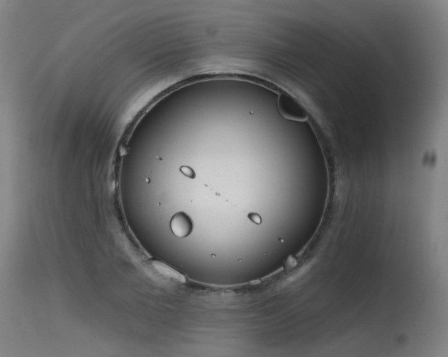 X0000115650885200911101537