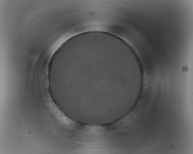 X0000115650886200911101537