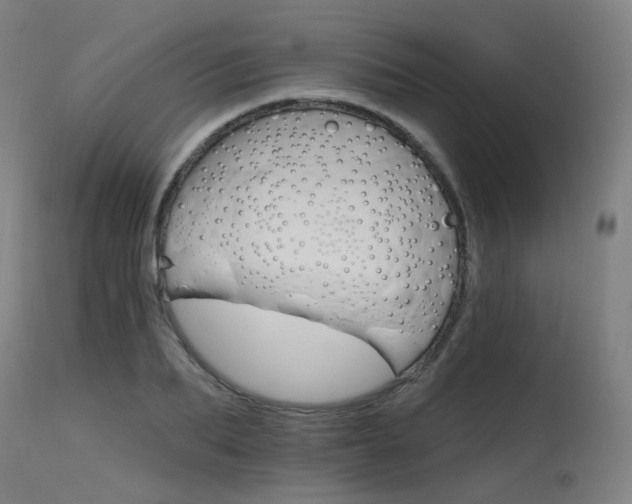 X0000115650887200911101537