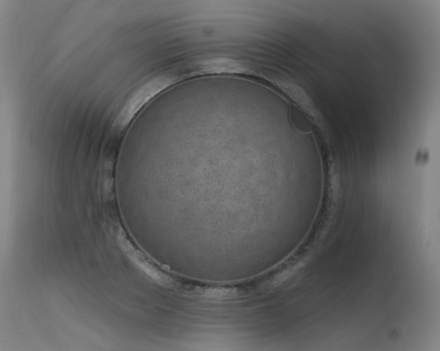 X0000115650889200911101537