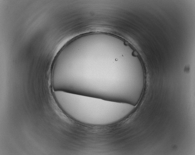 X0000115650891200911101537