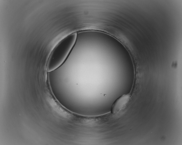 X0000115650892200911101537