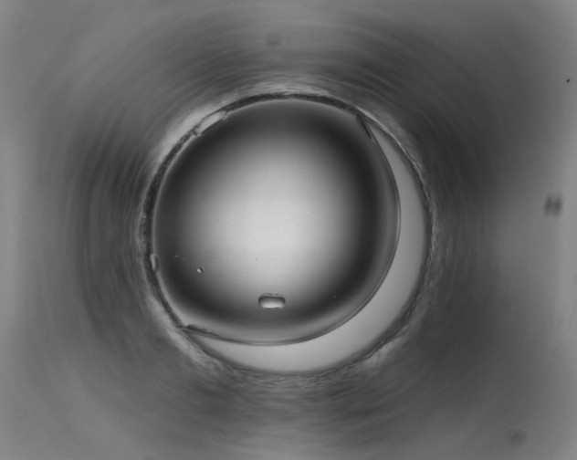 X0000115650893200911101537