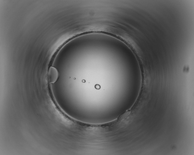X0000115650894200911101537