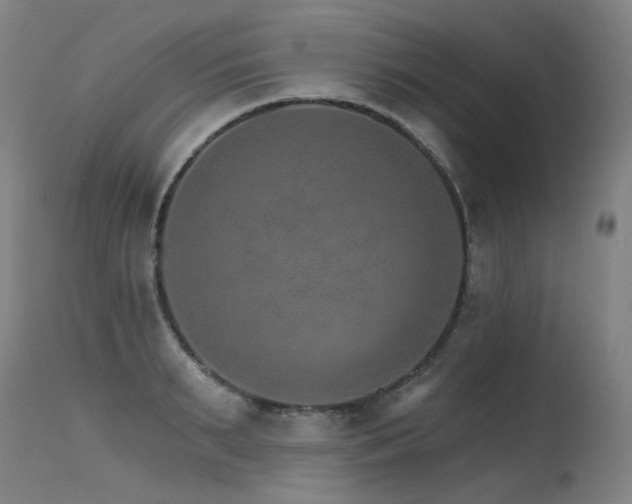 X0000115650895200911101537