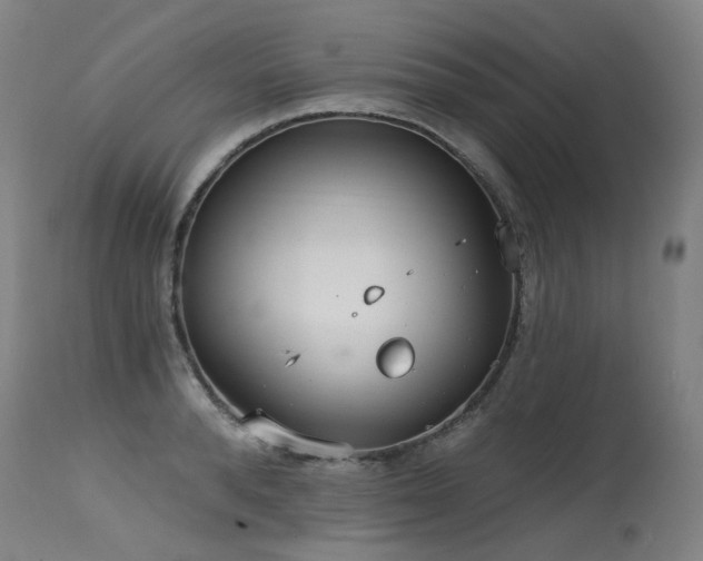 X0000115650896200911101537