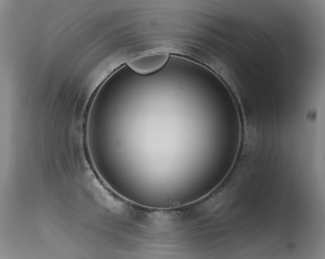 X0000115650898200911101537