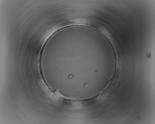X0000115650899200911101537
