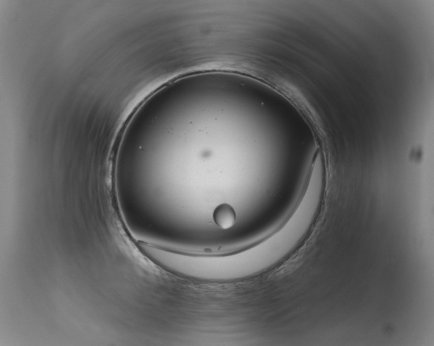 X0000115650900200911101537