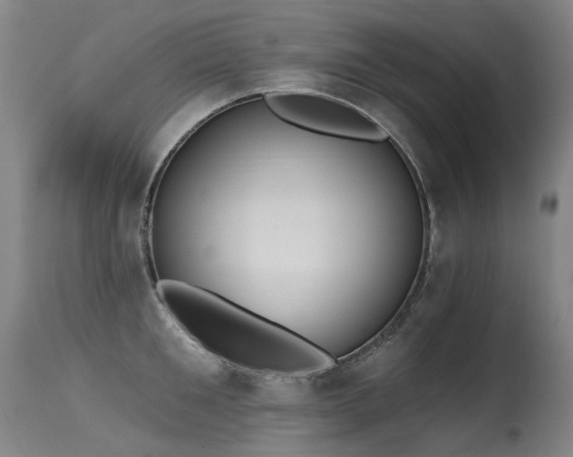 X0000115650901200911101537