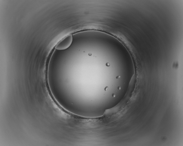 X0000115650902200911101537