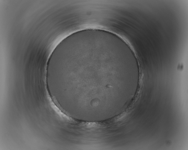 X0000115650903200911101537