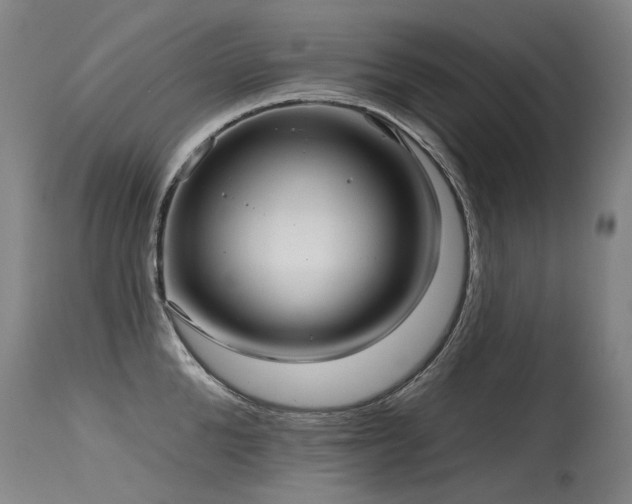 X0000115650904200911101537
