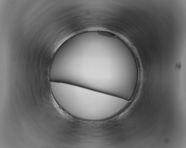 X0000115650905200911101537