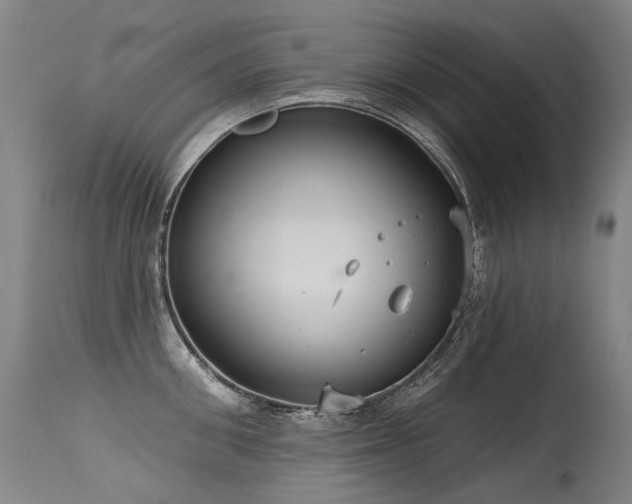 X0000115650906200911101536