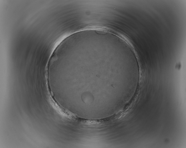 X0000115650907200911101536