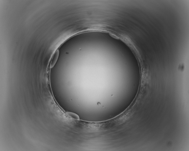 X0000115650908200911101536