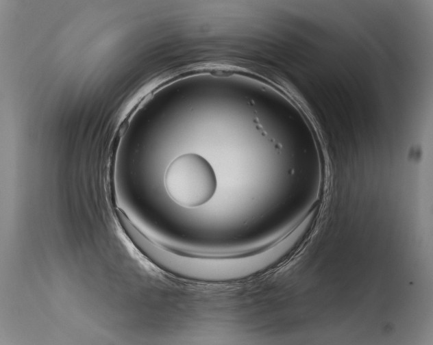 X0000115650909200911101536