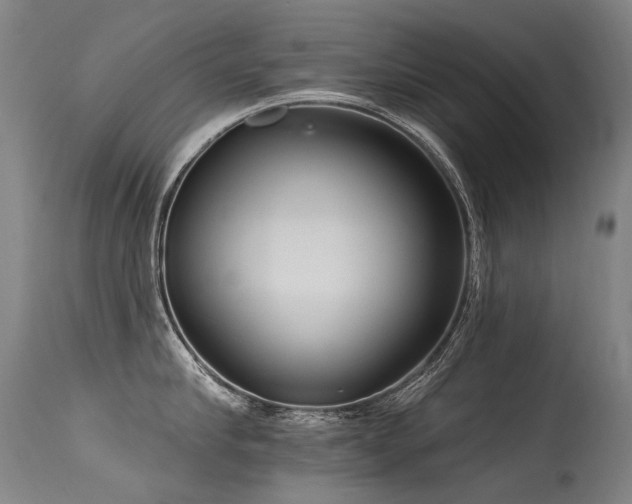 X0000115650910200911101536