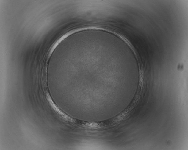 X0000115650911200911101536