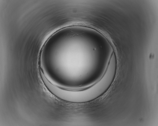 X0000115650912200911101536