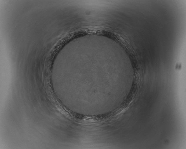 X0000115650913200911101536