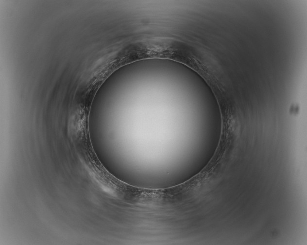 X0000115650914200911101536