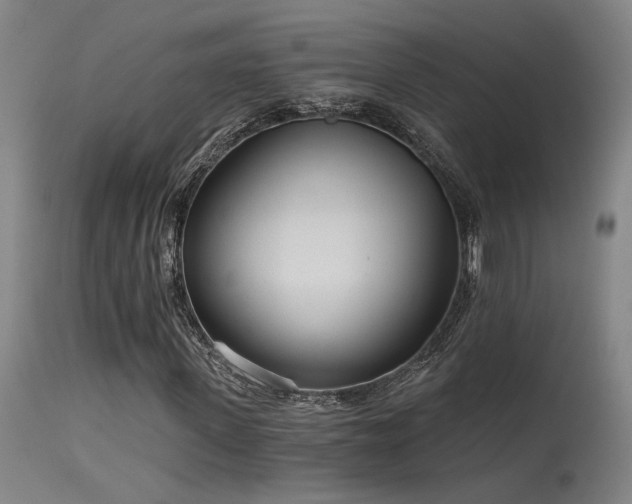 X0000115650915200911101536