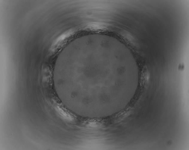 X0000115650917200911101536