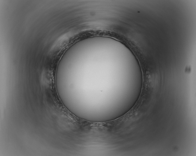 X0000115650918200911101536