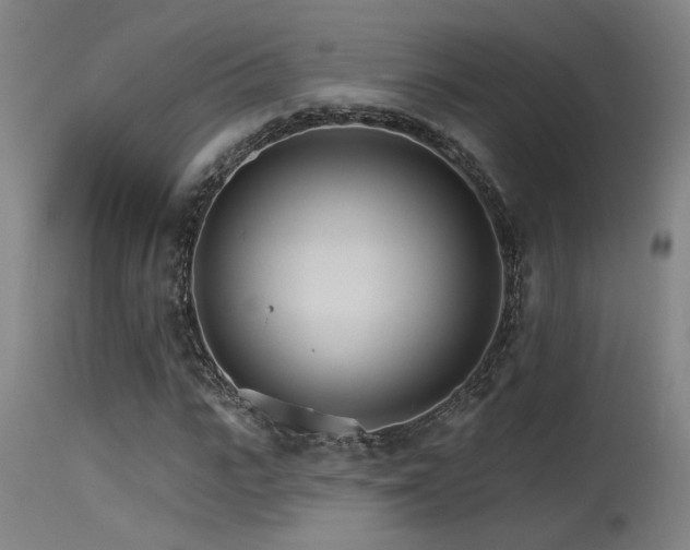 X0000115650919200911101536