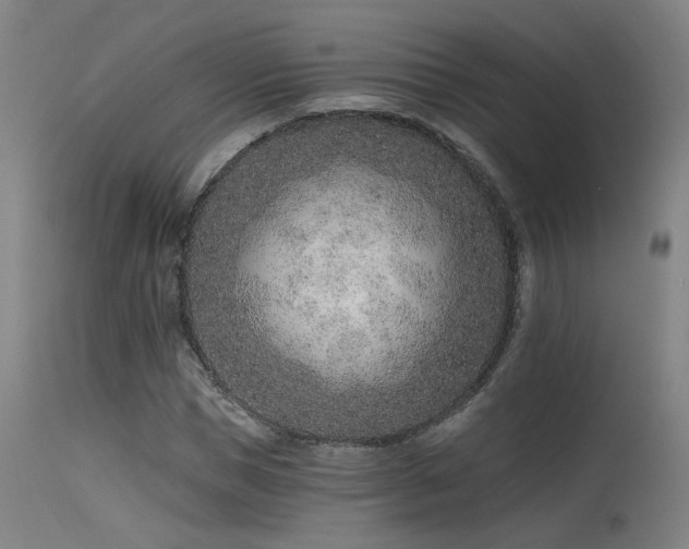 X0000115650921200911101536