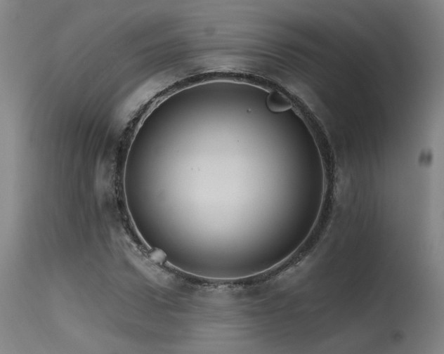 X0000115650922200911101536
