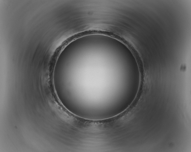 X0000115650923200911101536