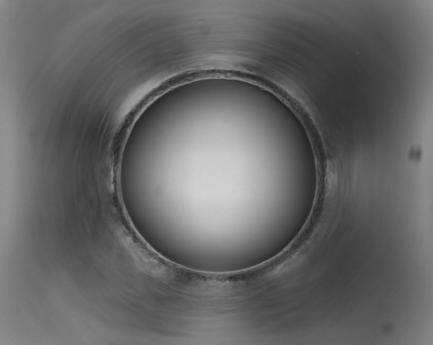 X0000115650925200911101536