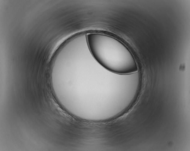 X0000115650926200911101536