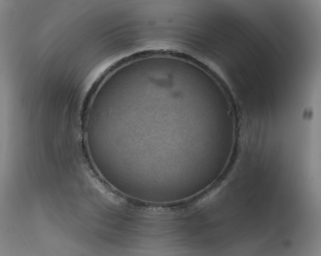 X0000115650927200911101536