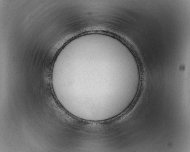 X0000115650929200911101536